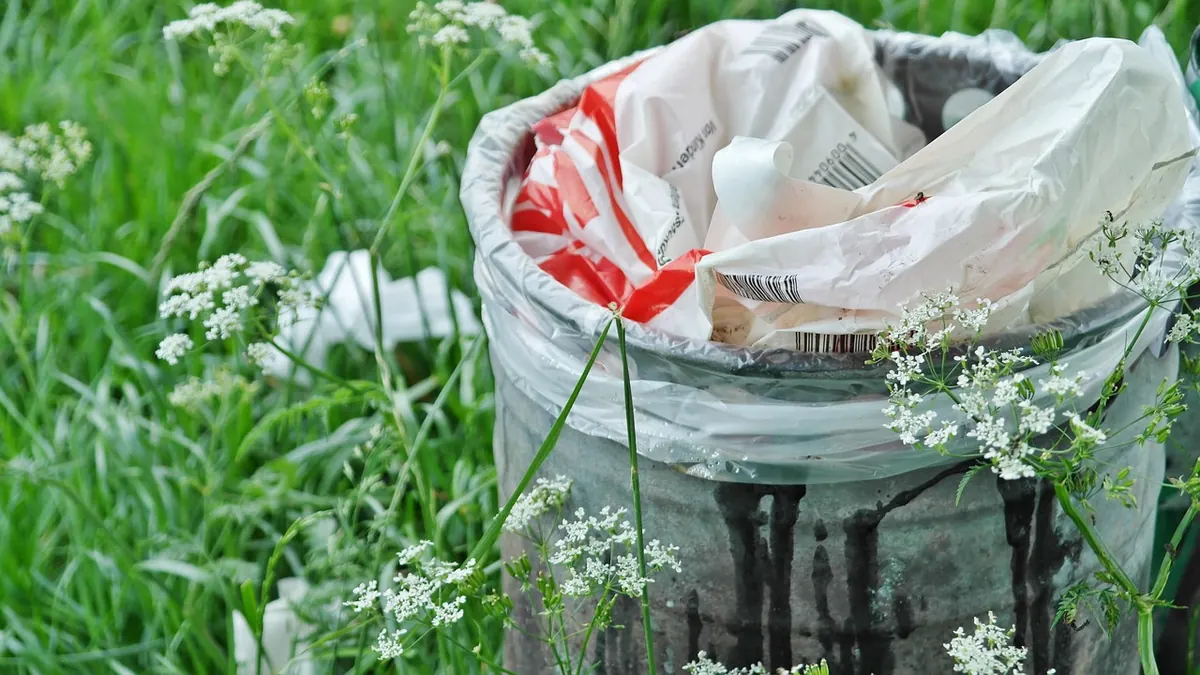 Bin Collection Day Changes Explained: What the New Recycling Rules Mean for Households